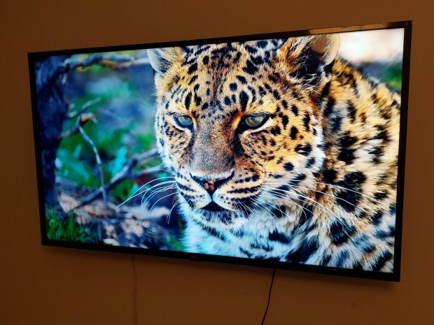 Lg 126cm-es 4k IPS 100hz-es kijelzs smart tv 