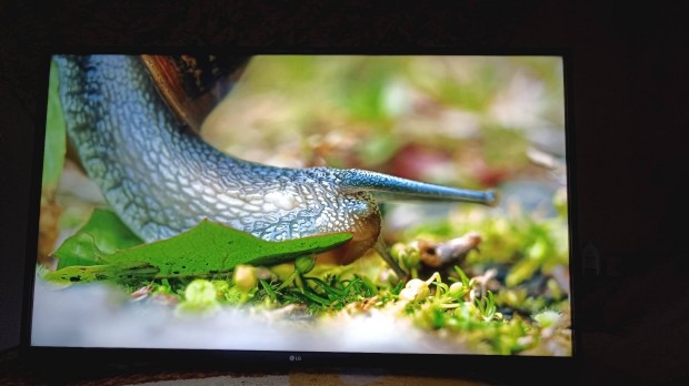 Lg 43UN73003LC 4K UHD SMART Okos TV