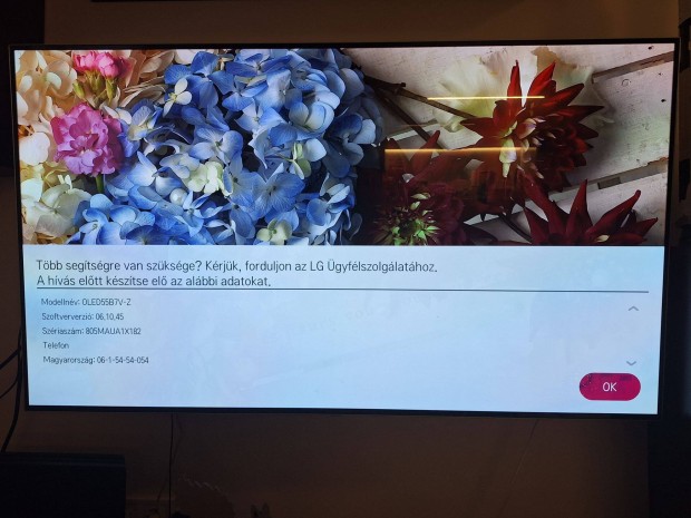 Lg 55b7 oled tv