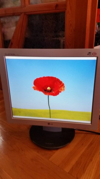 Lg Flatron 17"LCD monitor 