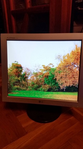 Lg Flatron 17"LCD monitor vga s dvi csatlakozval 