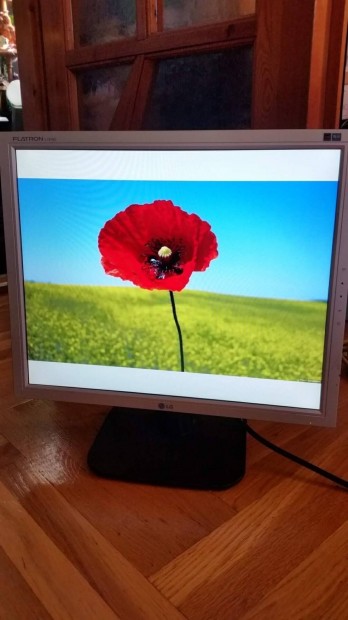 Lg Flatron 19" monitor 