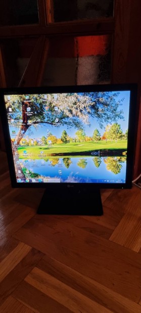 Lg Flatron L1919S 19" monitor 