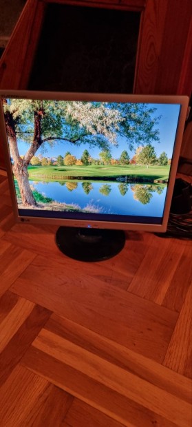 Lg Flatron L194S 19" monitor 