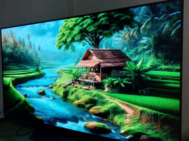 Lg Oled 65" 4k uhd C9 szria elad. 