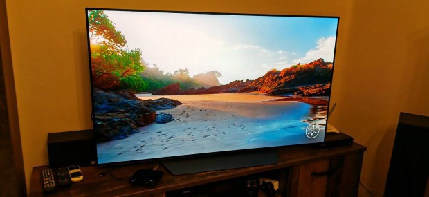 Lg oled55 b8 pla