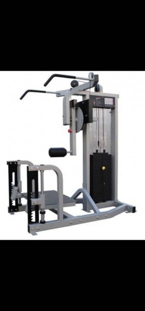 Life Fitness pro 2 multihip