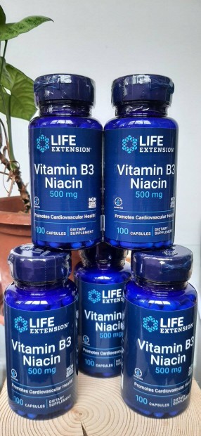 Life extension Niacin 500mg (B3 vitamin)