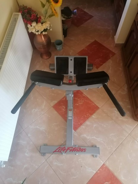 Life fitness hiperextenzis pad