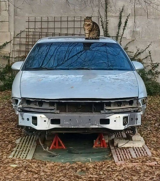 Lincoln Mark VIII & Town Car alkatr�szek elad�k !