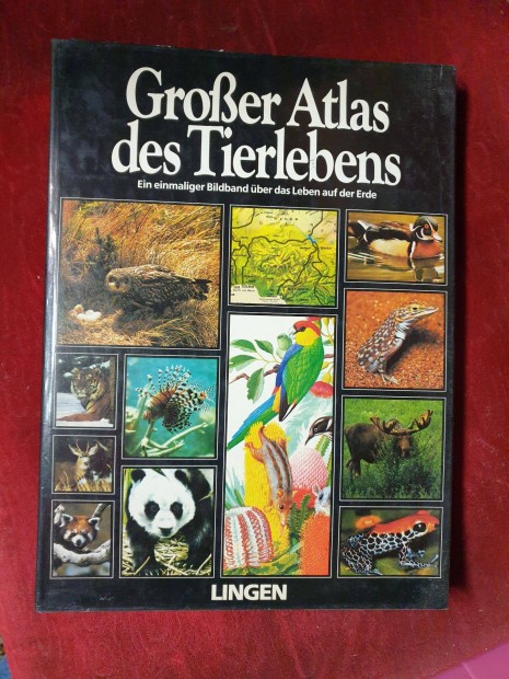 Lingen - Grosser Atlas des Tierlebens