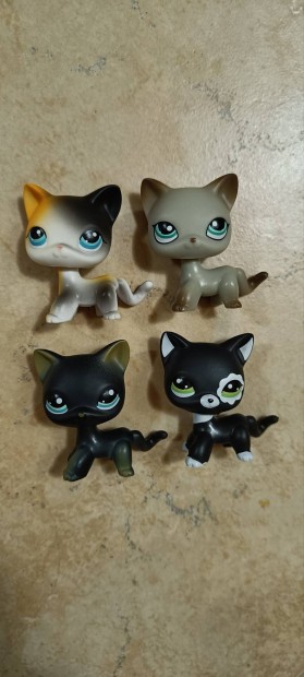 Littlest pet shop macskk 