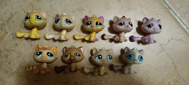 Littlest pet shop macskk 