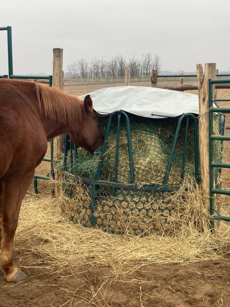 L marha kretet krbla etet ponyva tetvel