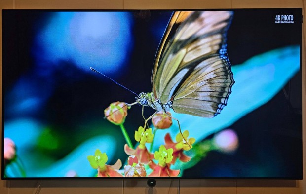 Loewe Bild 65" Oled tv