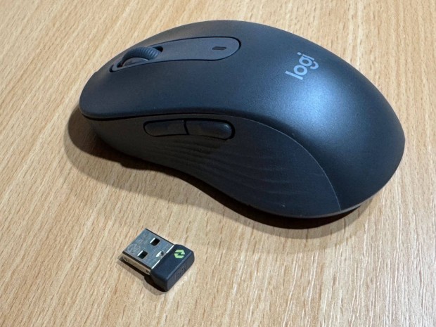 Logitech M650 L Graphite