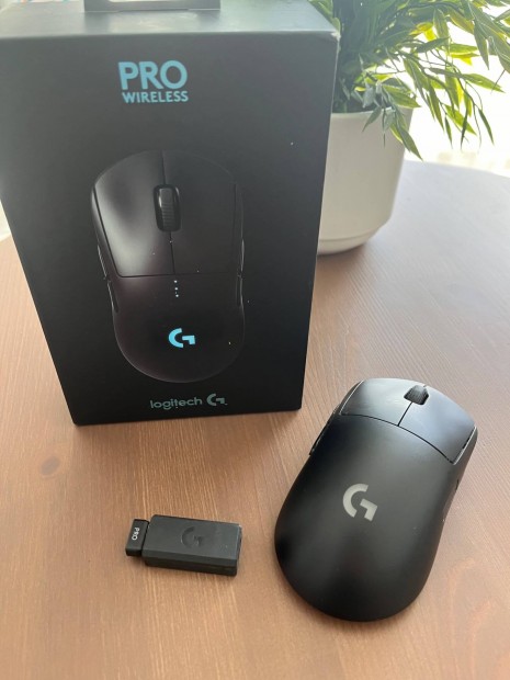 Logitech gpro wireless gamer egr