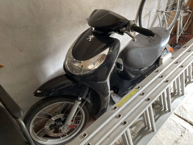 Loouxor 100 Peugeot 2t bonts