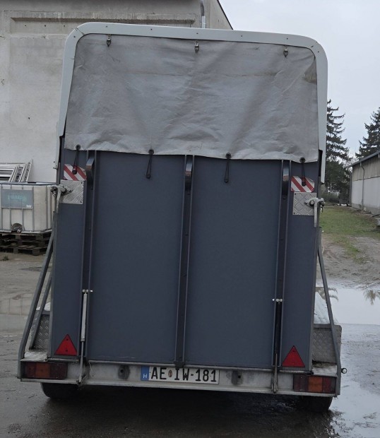 L�sz�ll�t� 2 f�r�helyes