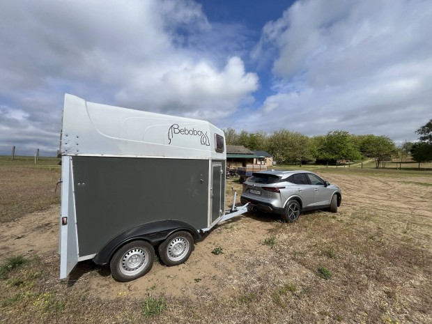 Lszllt Humbaur pegasus hp 2000