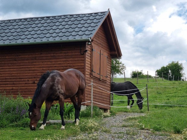Lótartásra, önellátásra alkalmas ingatlan