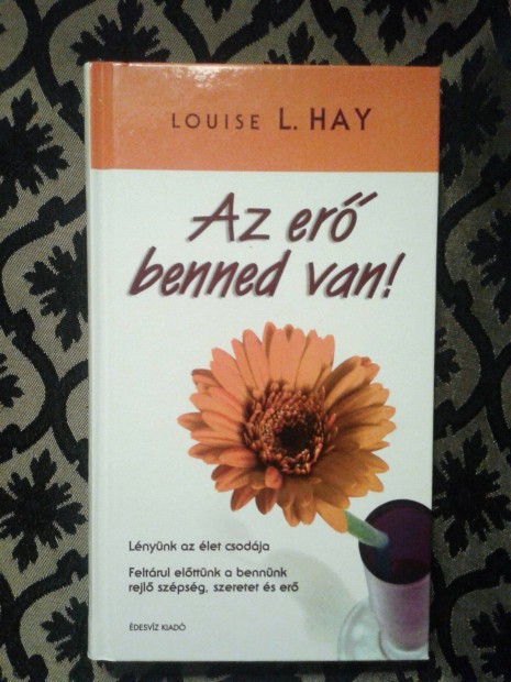 Louise L.Hay: Az er benned van