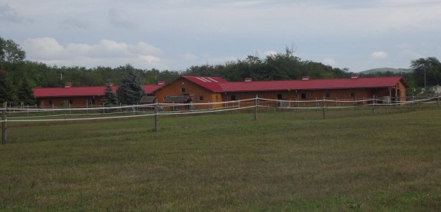 Lovarda kiad� �rbotty�nban