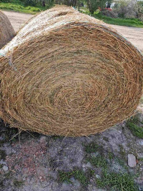 Lucerna 130 cm 
