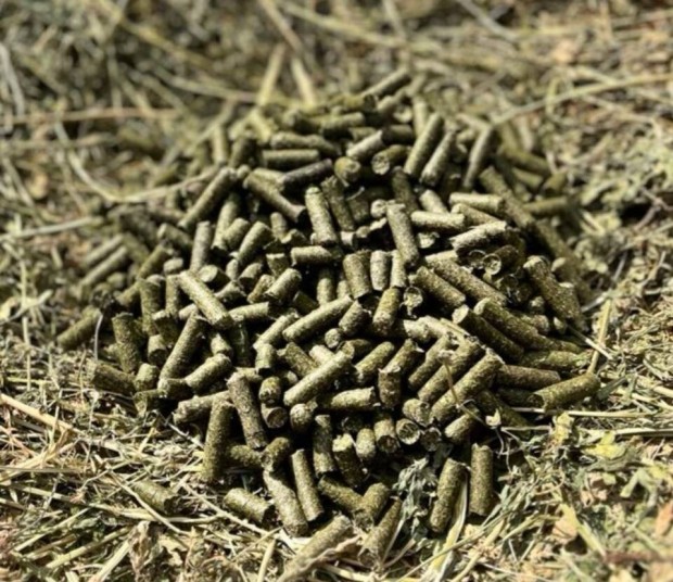 Lucerna pellet