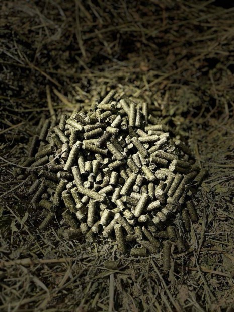 Lucerna pellet