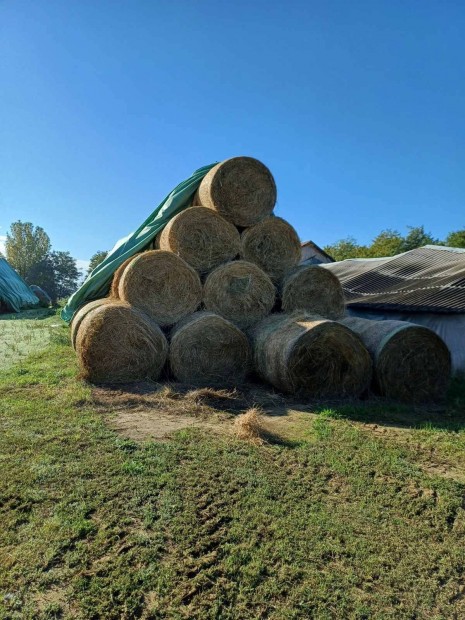 Lucernabla, sznabla elad