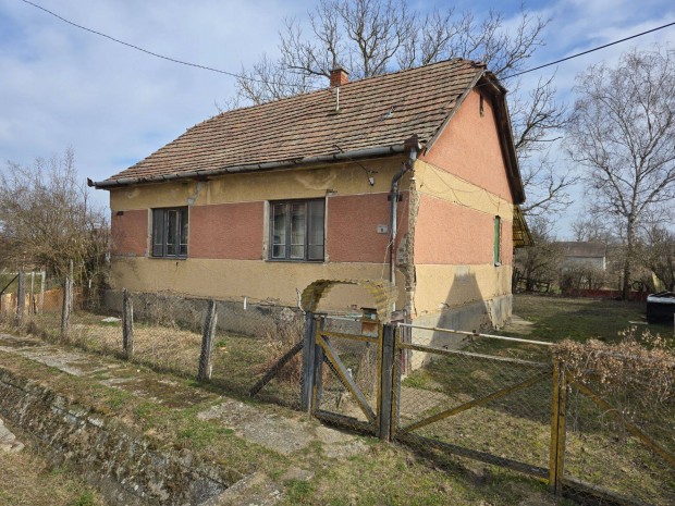 Lud�nyhal�sziban kiv�l� elhelyezked�s�, �d�l�nek is alkalmas csal�di h