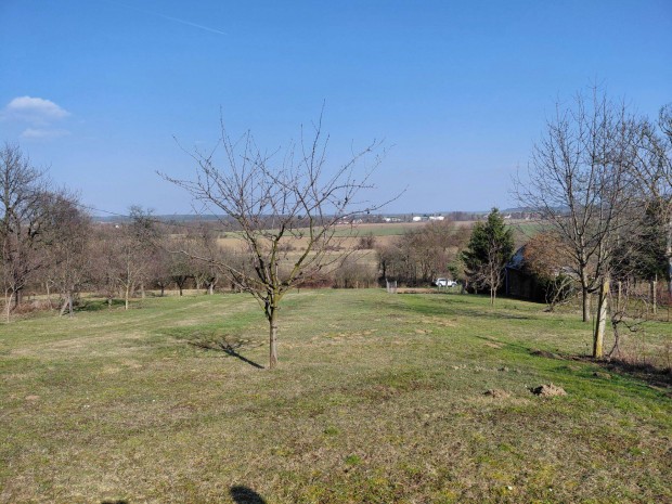 Luk�csh�za - Nagycs�m�tei hegyen kert elad�