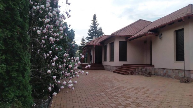 Luxus csal�di h�z elad� H�v�z csendes utc�j�ban