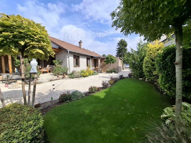 MEDITERR�N �LET�RZ�S SI�FOKON!