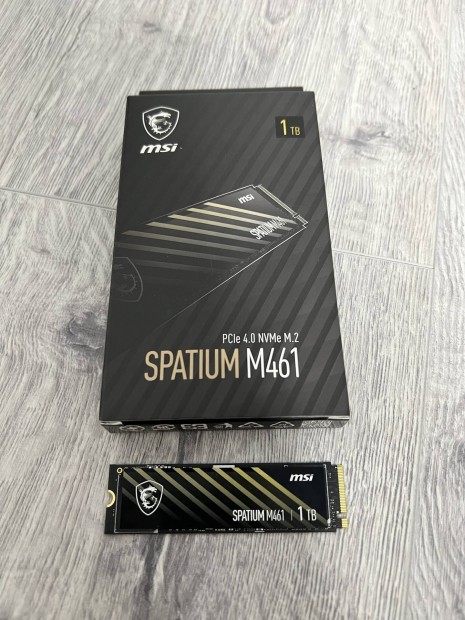 MSI Spatium M461 Pcie 4.0 Nvme M.2 1TB Garancis