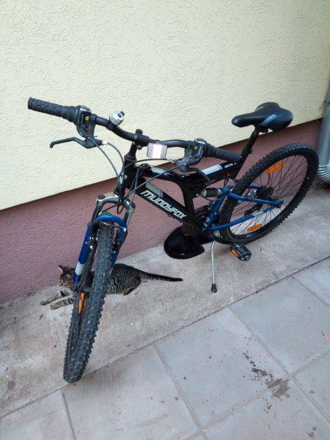 MTB Muddyfox 26colos