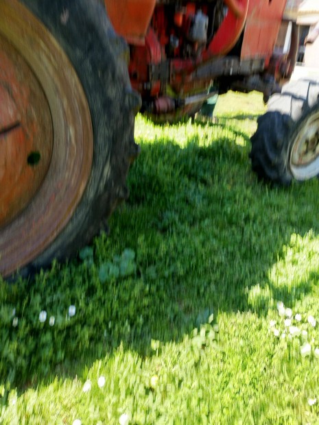 MTZ 50 TMP csrlvel elad