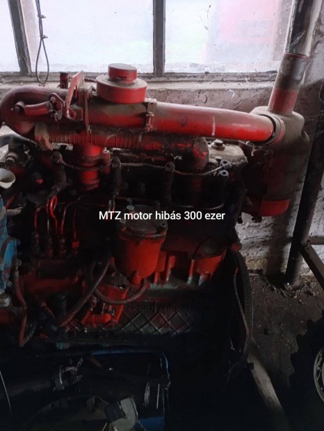 MTZ motor hibs