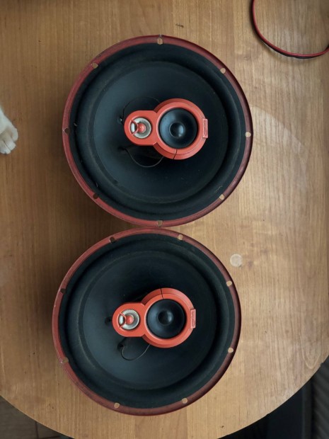 Macaudio 20cm es 3 utas