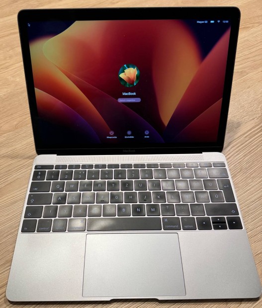 Macbook 12" retina (2017)