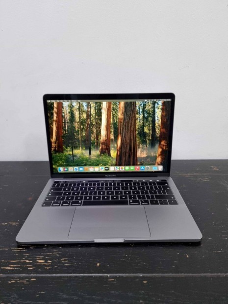 Macbook Pro i5 2019 kishibs