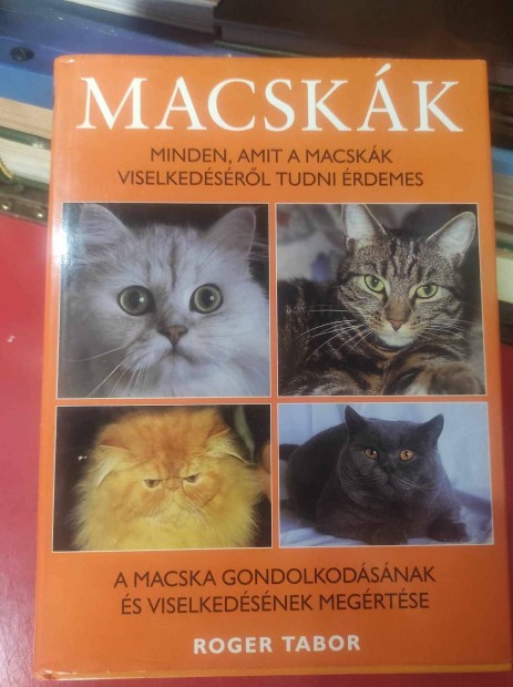 Macskk Minden, amit a macskk viselkedsrl tudni rdemes