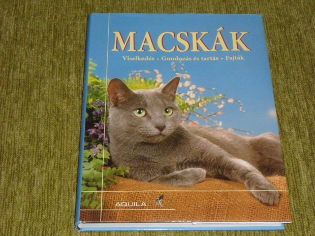 Macskk - Viselkeds, gondozs s tarts, fajtk