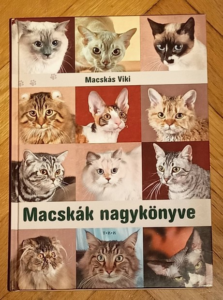 Macskk nagyknyve