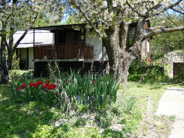 Mad�rcsicserg�s, S�sk�t �reghegy