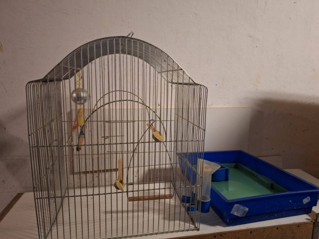 Mad�rkalitka elad�