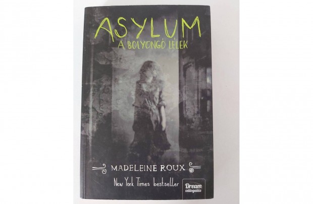 Madeleine Roux: Asylum - A bolyong llek