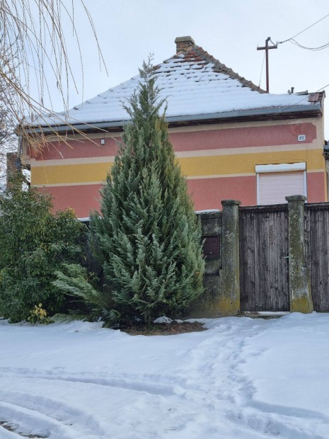 Madocsa elad� h�z. Gazd�lkod�sra alkalmas porta nagy kerttel elad�