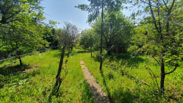 Magashegyen elad 800 m2-es belterleti panorms telek!